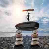 node.js入‍门​经‌典‌pdf